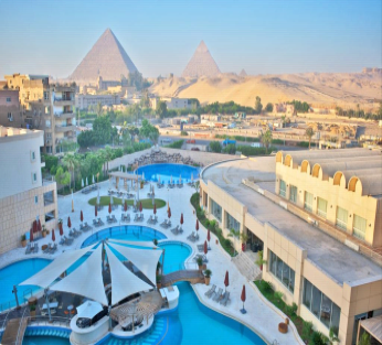 22449425