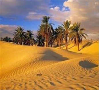 GL Gallery Bahariya oasis egypt 1268 IMG