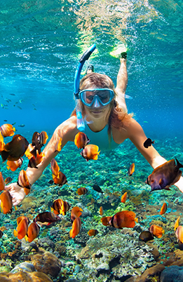 Photo Snorkeling