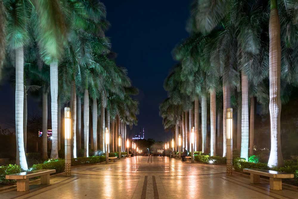 تنزيل (4)